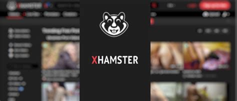 hamster odir|Top 6 xhamster.com Alternatives & Competitors 